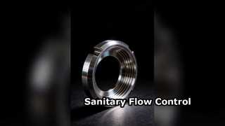 एसएमएस स्टैंडर्ड यूनियन